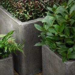 Cement Cube Pot - Waxed -KANG Plants Shop pr2000046317 card3 lg