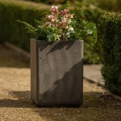 Tall Cement Cube Pot - Waxed -KANG Plants Shop pr2000046318 card4 lg