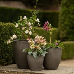 Cement Pot - Waxed 9 Cement Pot - Waxed -KANG Plants Shop pr2000046322 card2 lg