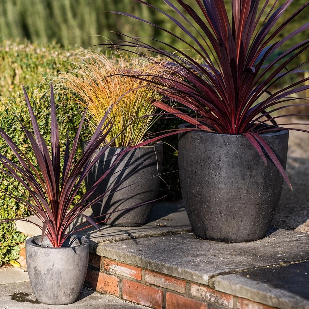 Cement Pot - Waxed 7 Cement Pot - Waxed - Image 5