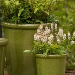 Glazed Ceramic Pot - Green 9 Glazed Ceramic Pot - Green -KANG Plants Shop pr2000046324 card4 lg