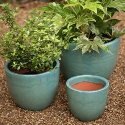 Glazed Terracotta Pot - Reef Blue 11 Glazed Terracotta Pot - Reef Blue -KANG Plants Shop pr2000046329 card4 lg