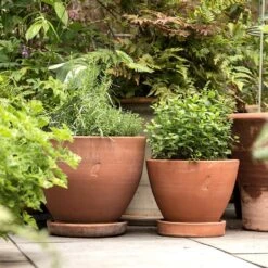 Terracotta Herb Pot And Saucer - Small -KANG Plants Shop pr2000046524 card4 lg