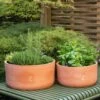 Terracotta Herb Bowl - Large 2 Terracotta Herb Bowl - Large -KANG Plants Shop pr2000046525