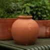 Terracotta Erigeron Pot - Large -KANG Plants Shop pr2000046528