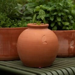 Terracotta Erigeron Pot - Small -KANG Plants Shop pr2000046529 card3 lg