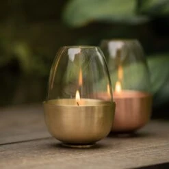 Tulip Tealight Holder - Brass -KANG Plants Shop pr2000046889 card8 lg