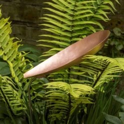 Pot Watering Droplet - Copper Scallop 12 Pot Watering Droplet - Copper Scallop -KANG Plants Shop pr2000046900 card5 lg