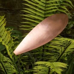 Pot Watering Droplet - Copper Scallop 13 Pot Watering Droplet - Copper Scallop -KANG Plants Shop pr2000046900 card6 lg