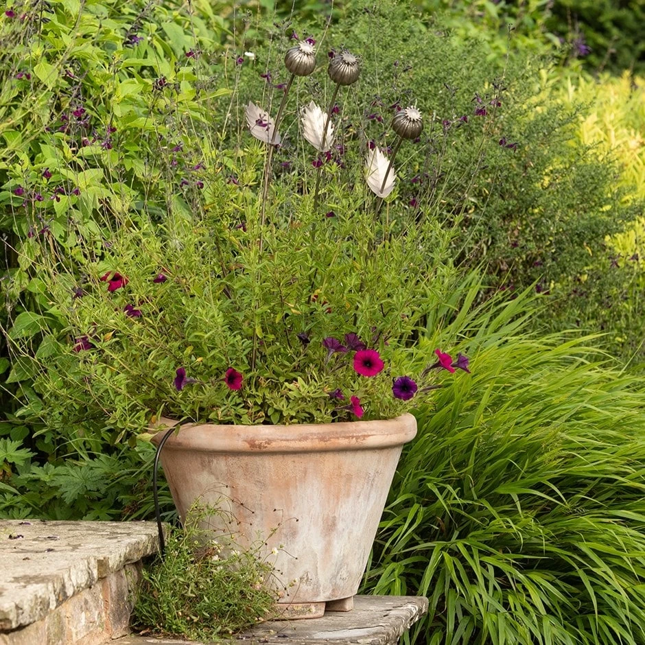 Poppy Seed Head Stake - Large Seed Head 5 Poppy Seed Head Stake - Large Seed Head - Image 3
