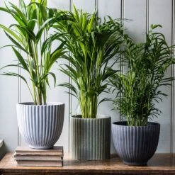 Ribbed Terracotta Plant Pot - Dark Grey -KANG Plants Shop pr2000047103 card3 lg