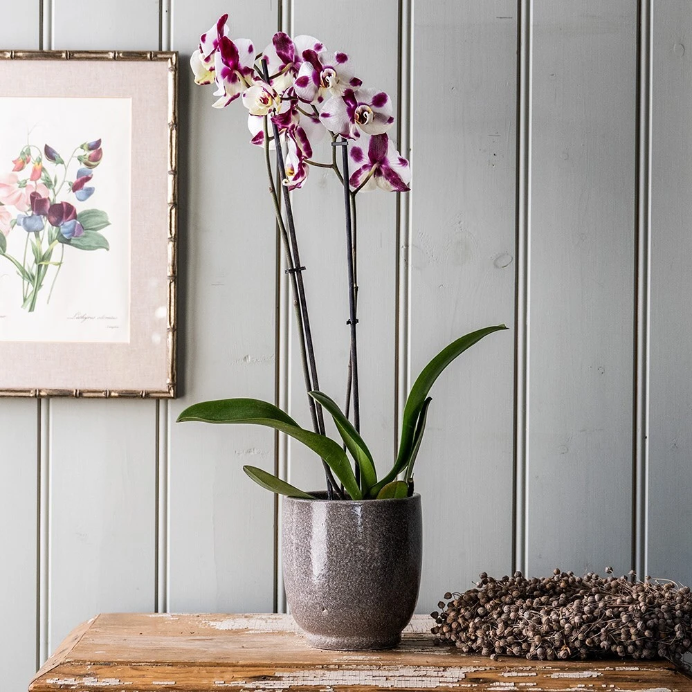 Reactive Glaze Plant Pot - Grey 4 Reactive Glaze Plant Pot - Grey - Image 2