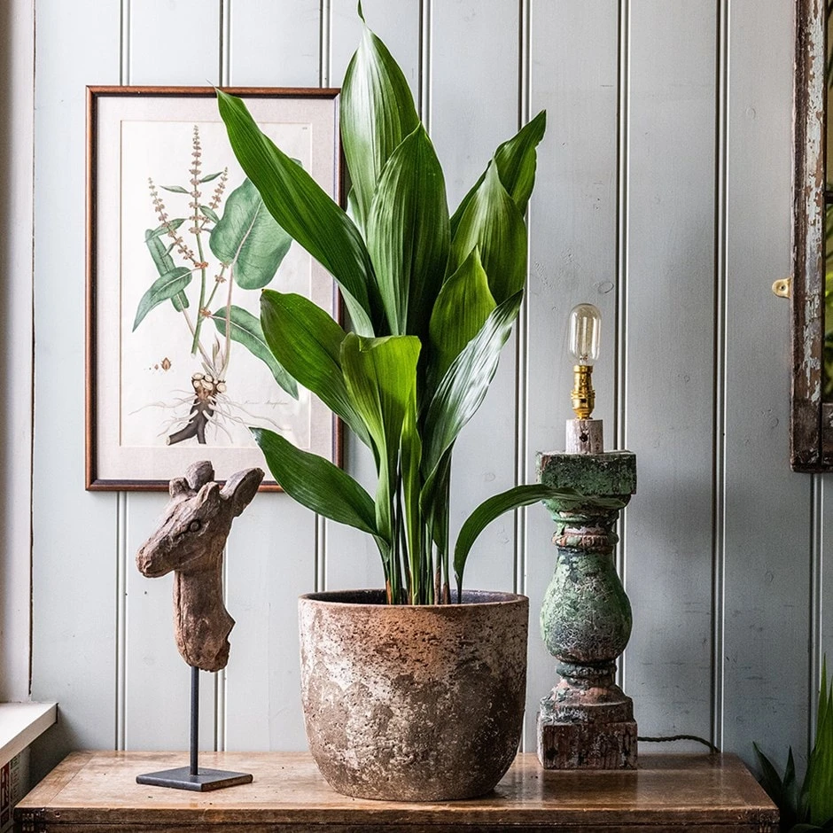 Rustic Plant Pot - Brown 3 Rustic Plant Pot - Brown