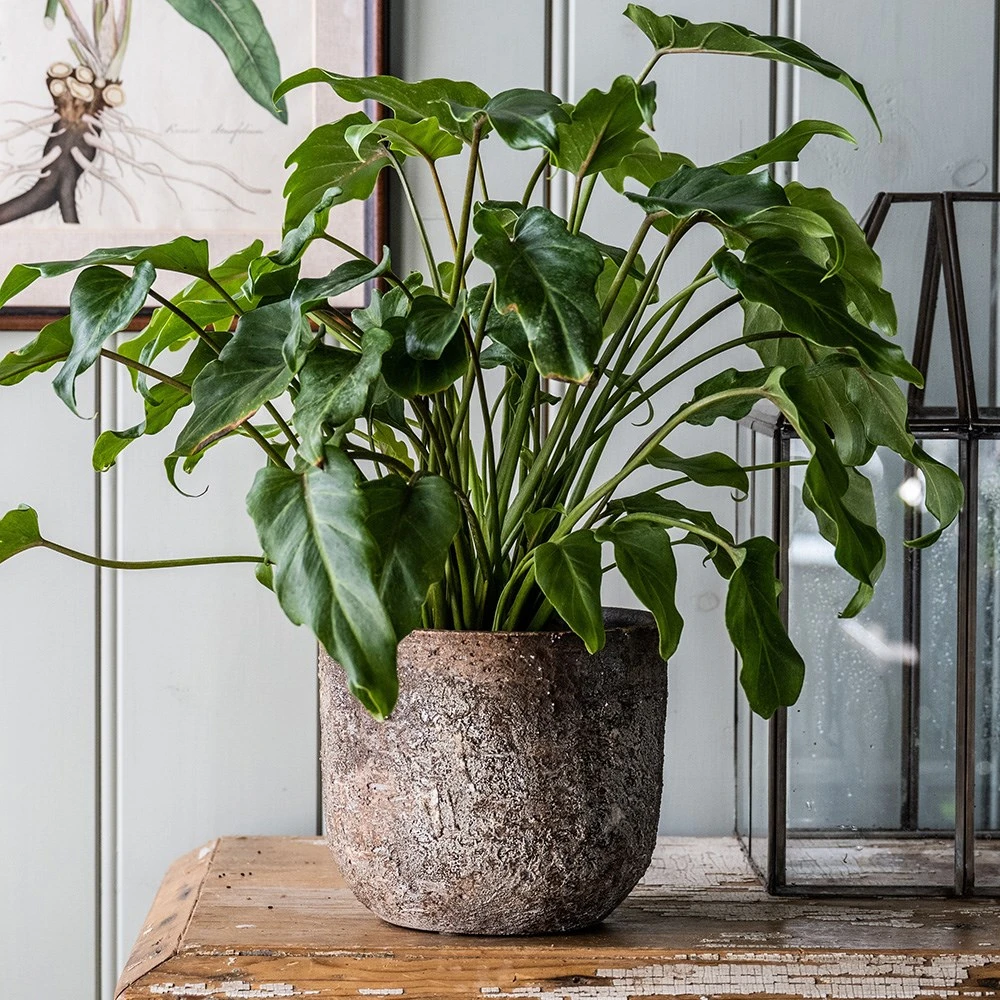 Rustic Plant Pot - Brown 4 Rustic Plant Pot - Brown - Image 2