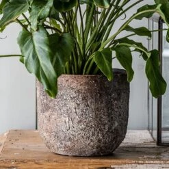 Rustic Plant Pot - Brown 7 Rustic Plant Pot - Brown -KANG Plants Shop pr2000047913 card4 lg