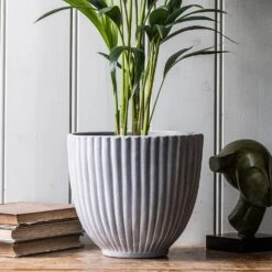 Ribbed Terracotta Plant Pot - Light Grey 6 Ribbed Terracotta Plant Pot - Light Grey -KANG Plants Shop pr2000047914 card2 lg