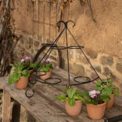 Tiered Plant Theatre - 6 Pots -KANG Plants Shop pr2000048005 card3 lg