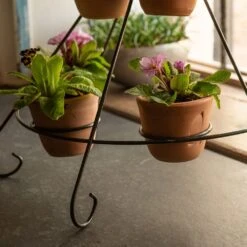 Tiered Plant Theatre - 6 Pots -KANG Plants Shop pr2000048005 card6 lg