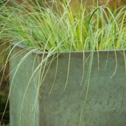 Rectangular Terrace Planter - Verdigris -KANG Plants Shop pr2000048712 card5 lg
