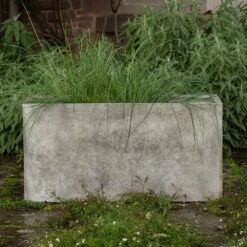 Rectangular Terrace Planter - Weathered Cream 14 Rectangular Terrace Planter - Weathered Cream -KANG Plants Shop pr2000048714 card3 lg