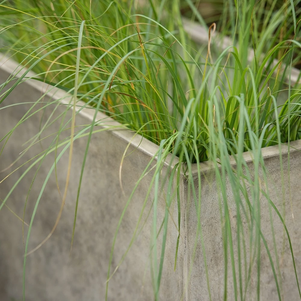 Rectangular Terrace Planter - Weathered Cream 8 Rectangular Terrace Planter - Weathered Cream - Image 6