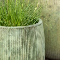 Ripple Bowl Planter - Verdigris 14 Ripple Bowl Planter - Verdigris -KANG Plants Shop pr2000048717 card3 lg