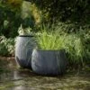 Ripple Bowl Planter - Ash Grey -KANG Plants Shop pr2000048719