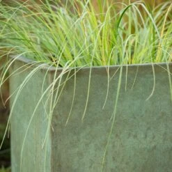 Square Terrace Planter - Verdigris -KANG Plants Shop pr2000048721 card8 lg