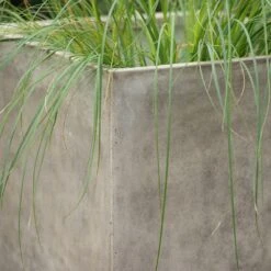 Square Terrace Planter - Weathered Cream -KANG Plants Shop pr2000048723 card5 lg