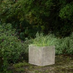 Square Terrace Planter - Weathered Cream -KANG Plants Shop pr2000048723 card6 lg