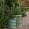 Greenwich Barrel Planter - Verdigris -KANG Plants Shop pr2000048731