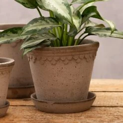 Scalloped Tapered Plant Pot With Saucer - Grey Terracotta -KANG Plants Shop pr2000049049 card4 lg