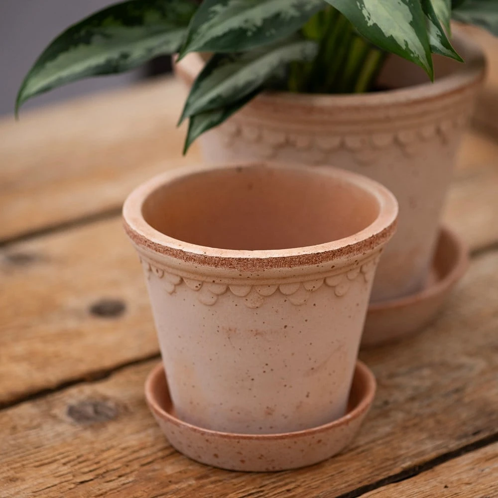 Scalloped Tapered Plant Pot With Saucer - Terracotta 4 Scalloped Tapered Plant Pot With Saucer - Terracotta - Image 2