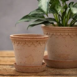 Scalloped Tapered Plant Pot With Saucer - Terracotta 10 Scalloped Tapered Plant Pot With Saucer - Terracotta -KANG Plants Shop pr2000049052 card4 lg
