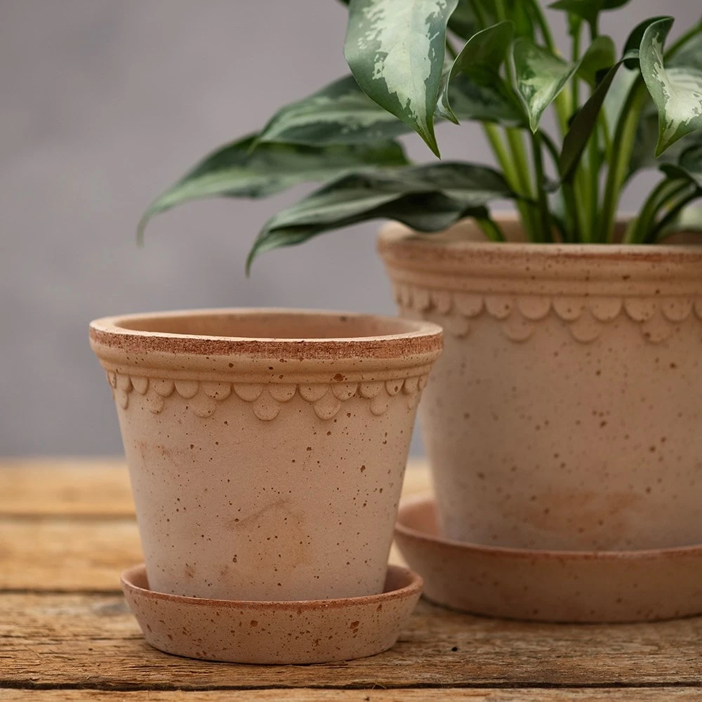 Scalloped Tapered Plant Pot With Saucer - Terracotta 6 Scalloped Tapered Plant Pot With Saucer - Terracotta - Image 4
