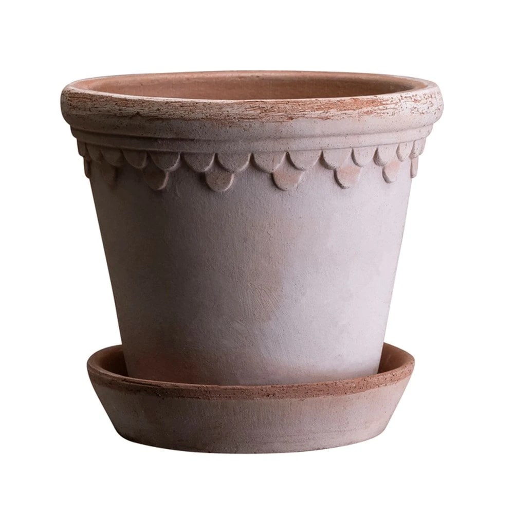 Scalloped Tapered Plant Pot With Saucer - Terracotta 7 Scalloped Tapered Plant Pot With Saucer - Terracotta - Image 5