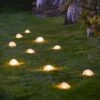 Solar Pebble Light - Large 2 Solar Pebble Light - Large -KANG Plants Shop pr2000049107