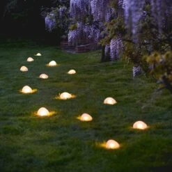 Solar Pebble Light - Large -KANG Plants Shop pr2000049107 card5 lg